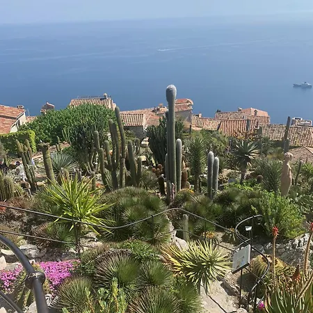 Cosy 2 Pieces Proche Et Monaco