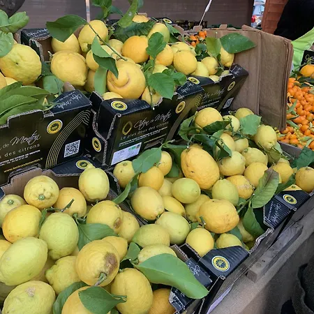 Cosy 2 Pieces Proche Et Monaco Мантон