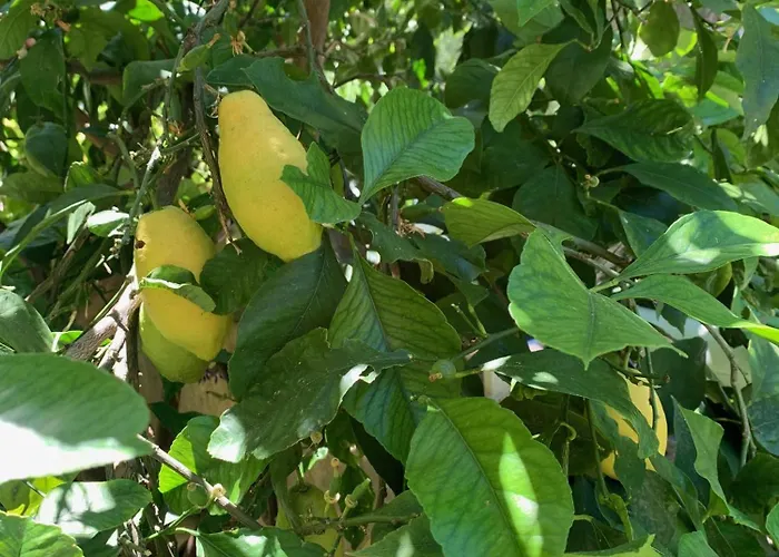 Cosy 2 Pièces Proche Et Monaco